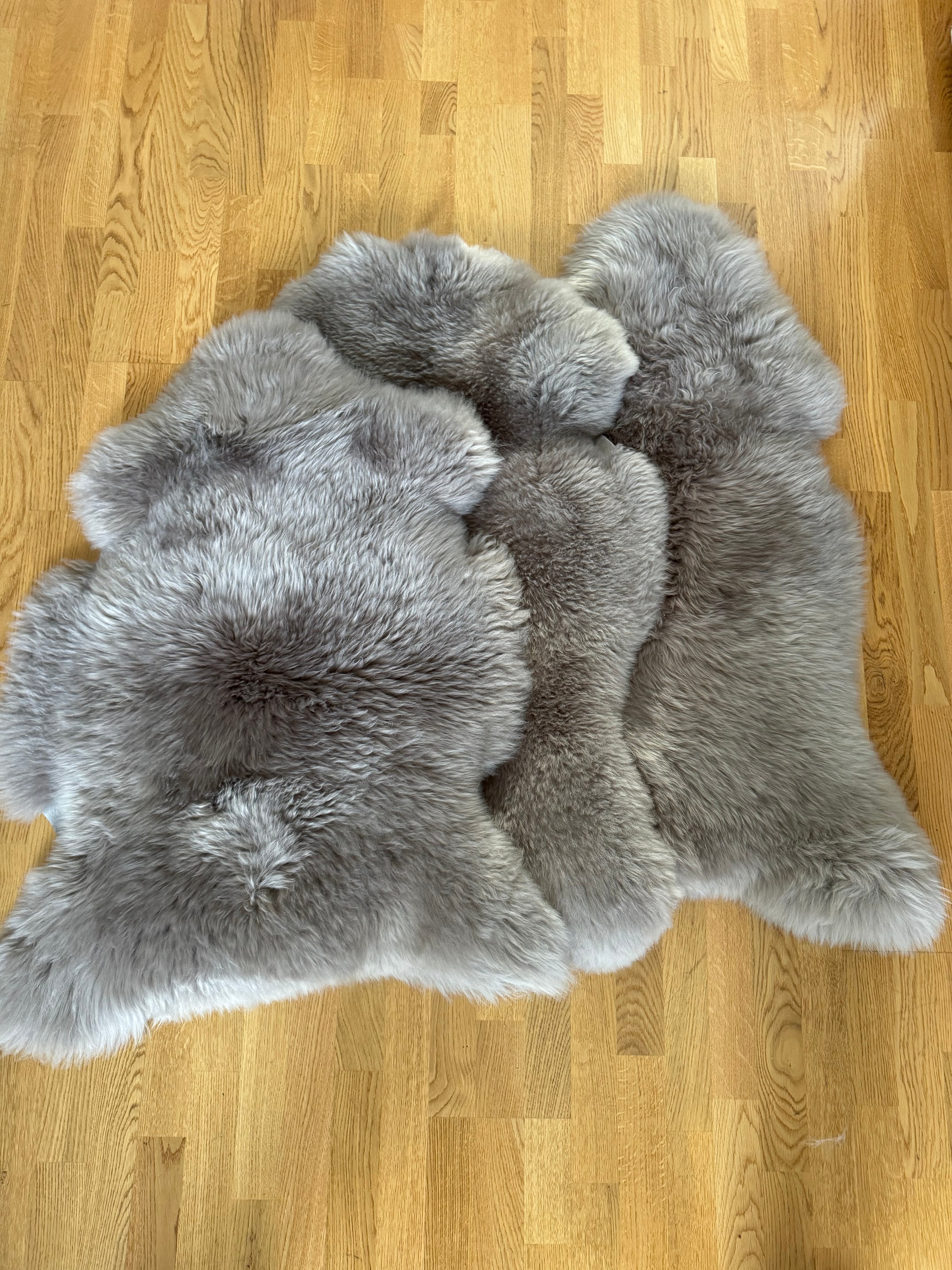 Premium Schaffell Lammfell – Taupe